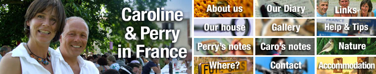 Perry and Caroline in france