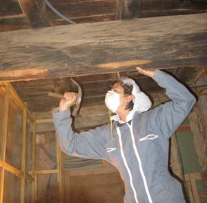 chipping off the beams